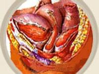 女人為何會患上盆腔炎