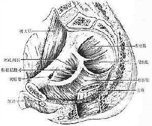 月經(jīng)推遲的常見(jiàn)病因